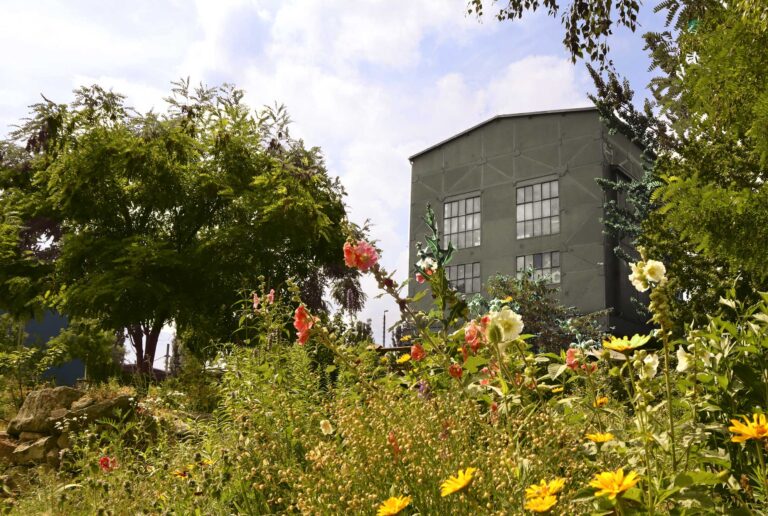 Golden Box GmbH // Stadtnatur erleben